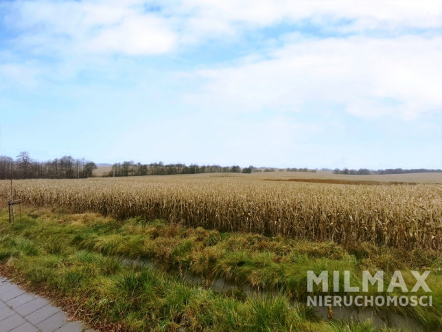 Działka Sprzedaż Bukowiec 19