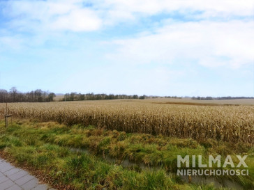 Działka Sprzedaż Bukowiec