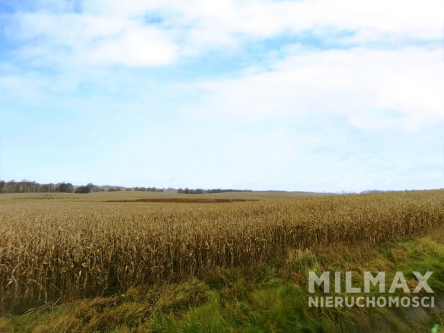 Działka Sprzedaż Bukowiec 20