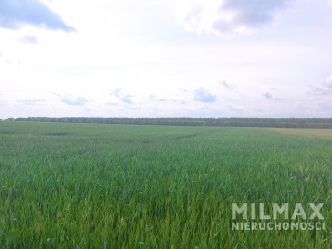 Działka Sprzedaż Kostrzyn Nad Odrą