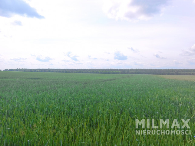 Działka Sprzedaż Kostrzyn Nad Odrą 3