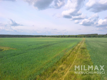 Działka Sprzedaż Kostrzyn Nad Odrą