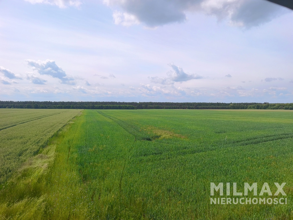 Działka Sprzedaż Kostrzyn Nad Odrą
