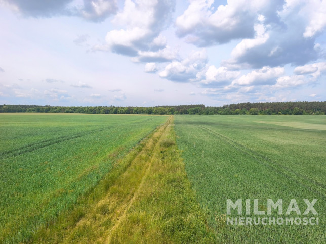 Działka Sprzedaż Kostrzyn Nad Odrą 5