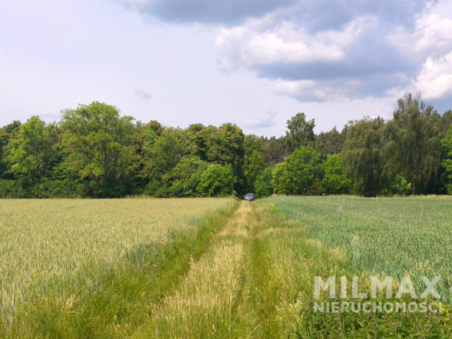 Działka Sprzedaż Kostrzyn Nad Odrą 6