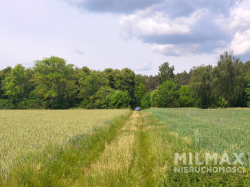 Działka Sprzedaż Kostrzyn Nad Odrą