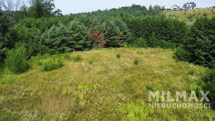Działka Sprzedaż Sieraków 5