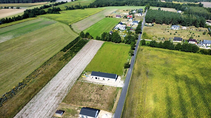 Działka Sprzedaż Murzynowo Leśne 4