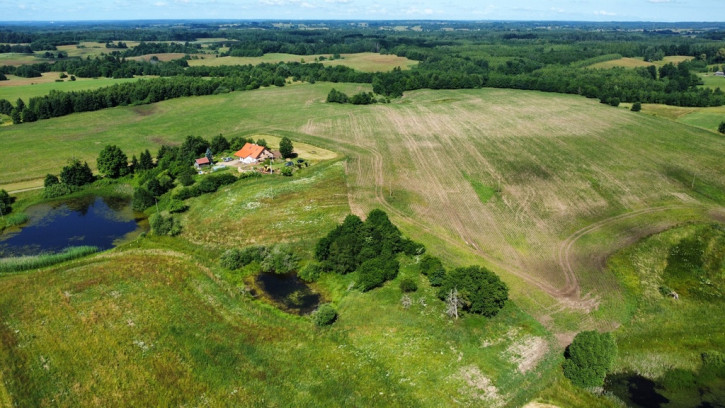 Działka Sprzedaż Górowo Iławeckie 8