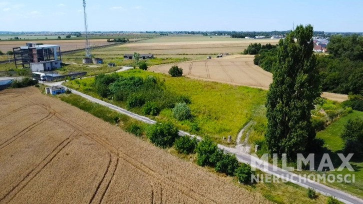 Działka Sprzedaż Szamotuły 8